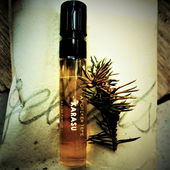 Alte Schriften (von Floyd)