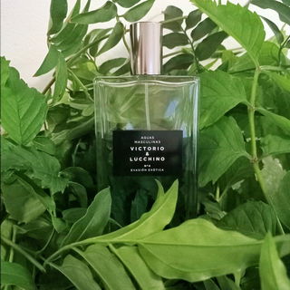 Power of Seduction - Banderas