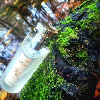 Eau Parfumée au Thé Blanc (Eau de Cologne) - Bvlgari