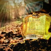 ... noch aus einer anderen Zeit ?! ... (by Skydiver19)