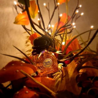 Casamorati - Lira (Eau de Parfum) - Xerjoff