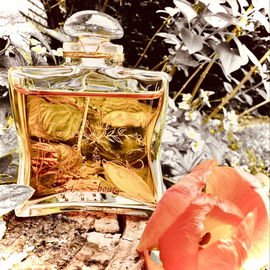 24, Faubourg (Parfum) - Hermès
