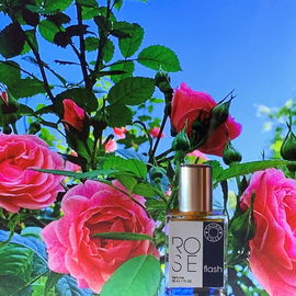 Rose Flash - Tauerville