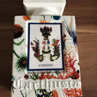 A'mmare von Carthusia