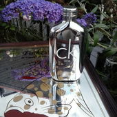 Sommerflieder (by pudelbonzo)