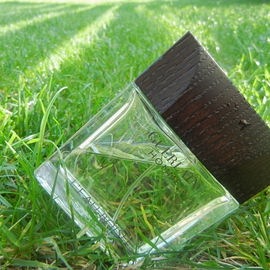 Guerlain Homme L'Eau Boisée - Guerlain