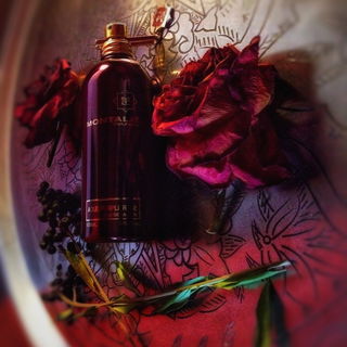 Aoud Purple Rose - Montale