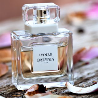 Ivoire (2012) - Balmain