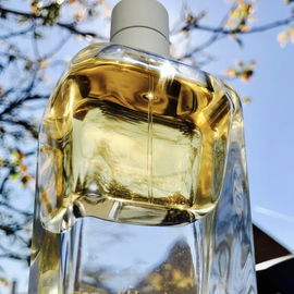 Liquid Sunshine;-)