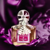 ..... meine Königin der Rosendüfte .... :)) (von IrisNobile)