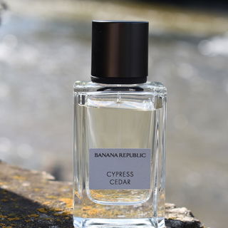 Cypress Cedar by Banana Republic