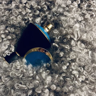 zarte und kuschelig-weiche Iris.. da mag ich mich reinlegen ;-)