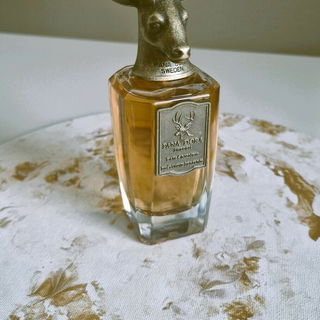 Dux Orientis by Pana Dora