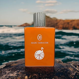 Orange Flamingo von Marc Gebauer