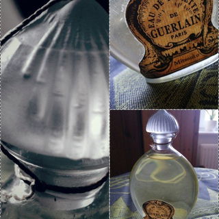 Mitsouko (Eau de Toilette) von Guerlain