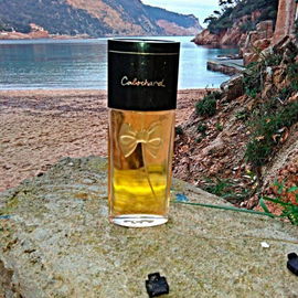 Cabochard de Grès . www.dressinn.com