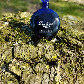Dans La Nuit (1985) (Eau de Toilette) - Worth