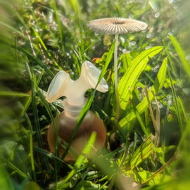 ꧁❈ die ersten Sonnenstrahlen am Morgen ❈ tausend Dank für Euren Besuch ❈ ich freue mich sehr darüber ❈꧂