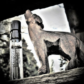 Barking at the wrong tree