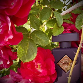 Atomic Rose (Eau de Parfum) - Initio