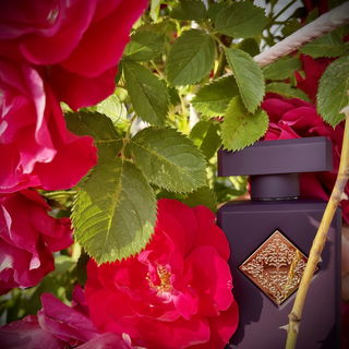 Atomic Rose (Eau de Parfum) - Initio