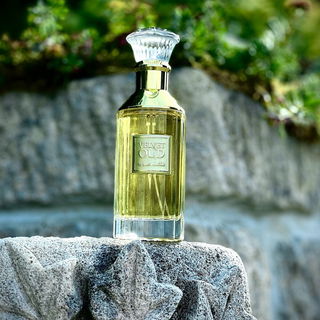 …📷🌍 Thank you. Danke schön. Merci beaucoup. Muchas gracias. Dōmo arigatō gozaimasu 💐…