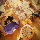 Mars legt für eine kurze Zeit des Friedens seine Waffen nieder.Jasmin umschlingt dottergelbe Harze. Völlig übersteuerte Venuskäfer frohlocken ☆ FROHES FEST ALLEN (by Seejungfrau)