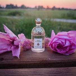 Aqua Allegoria Pera Granita - Guerlain