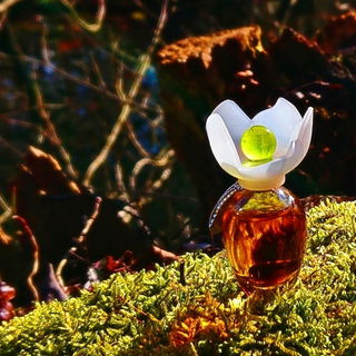 🏵️☀️ Die erste Narzisse blüht ... ☀️🏵️ Lieben Dank für Eure Besuche 🥰