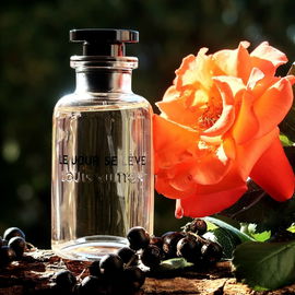 Die letzten erfrischenden Tautropfen auf den Blättern, erfrischend und edel fängt der Tag an. mit dem Duft der Rose und den schwarzen Beeren. Vielen lieben Dank für den lieben Besuch.