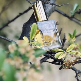 meltmyheart (Eau de Parfum) - Strangelove NYC / ERH1012