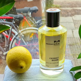 Cedrat Boise by Mancera