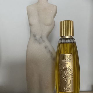 Musa Paradisiaca - Cristian Cavagna