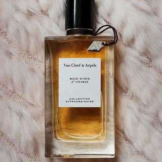 Rose Velours von Van Cleef & Arpels