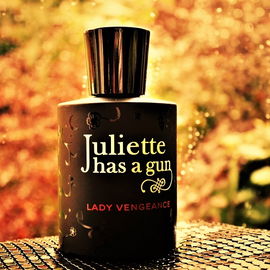 Lady Vengeance - Juliette Has A Gun