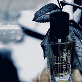 Der Mensch hat dreierlei Wege klug zu handeln: erstens durch Nachdenken, das ist der Edelste, zweitens durch Nachahmen, das ist der Einfachste, und drittens durch Erfahrung, das ist der bitterste~Konfuzius (by Sunshine00)