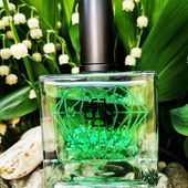 Das grüne Diamantenherz. (by GreenIvy)