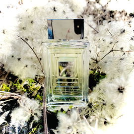 Hommage à l'Homme (Eau de Toilette) - Lalique