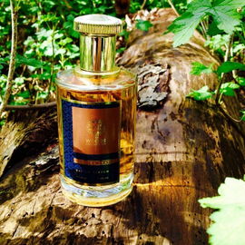 Dancing Leaves - The Woods Collection