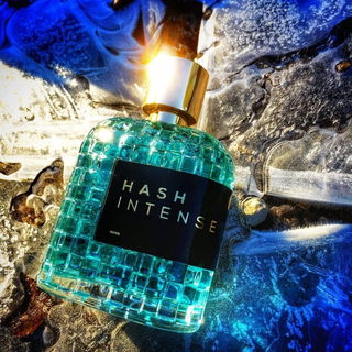 Hash Intense - LPDO