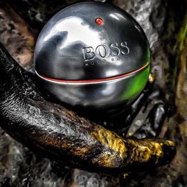 Boss in Motion (Eau de Toilette) - Hugo Boss