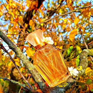 Hier strahlt die goldene Herbstsonne noch 🍁☀️🍂 Lieben Dank für Eure schönen Kommentare 🧡🥰