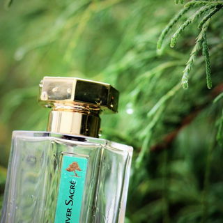 Cœur de Vétiver Sacré - L'Artisan Parfumeur
