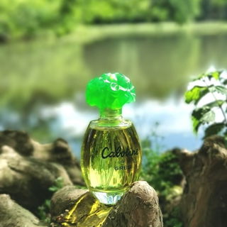 *Schloss Favorite Rastatt* Vielen Dank für Eure lieben Worte und Auszeichnungen :-)