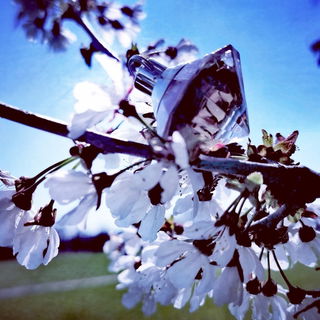 Wish (Parfum) - Chopard