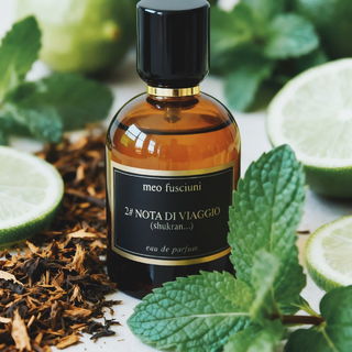 2# Nota di Viaggio (Shukran…) - Meo Fusciuni