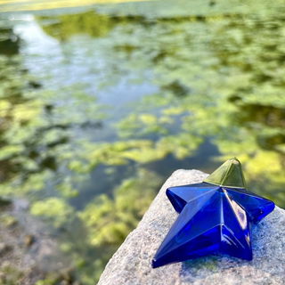 Ich wünsche euch einen guten Start in die Woche und bedanke mich für euren Besuch 🌺