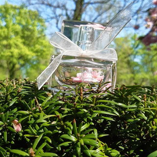 💐💙🥰 In jedem Augenblick des Lebens steckt eine Ewigkeit.(Johann Wolfgang von Goethe) Danke für Euren Besuch,  ich freue mich sehr. Lg💐💙🥰