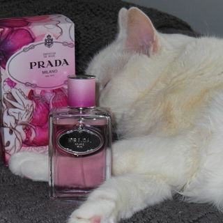 Infusion de Rose (2011) von Prada