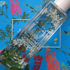 Hintergrund: Eine der limitierten Geschenkdosen, die man beim Kauf von zwei Flakons der Wild Flowers & Weeds Serie bekommt und die es in drei Farben gibt (Blau, Grün, Schwarz).